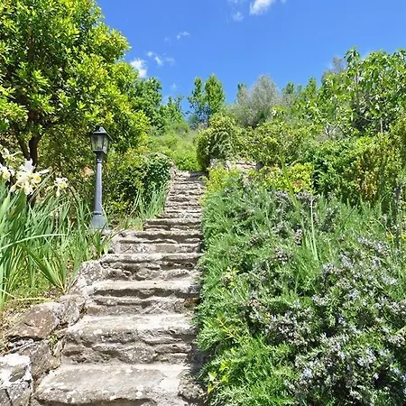 Borgo Del Castagno